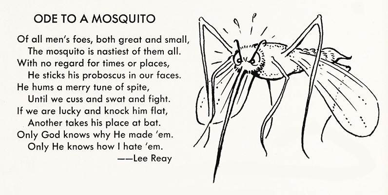 ode to a mosquito